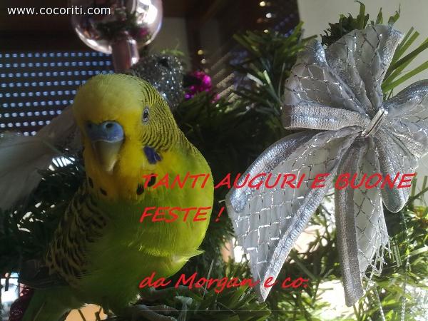 buone feste